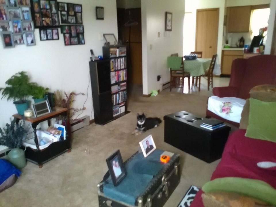 LORI Smith's album, Mobile uploads