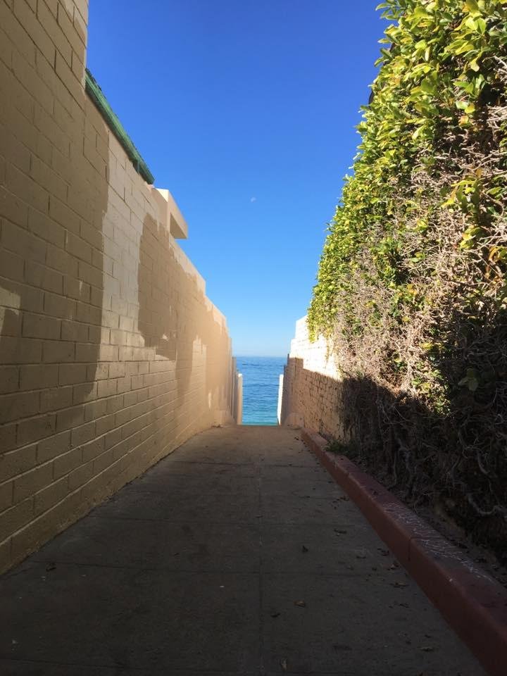 Another beautiful day in the neighborhood!