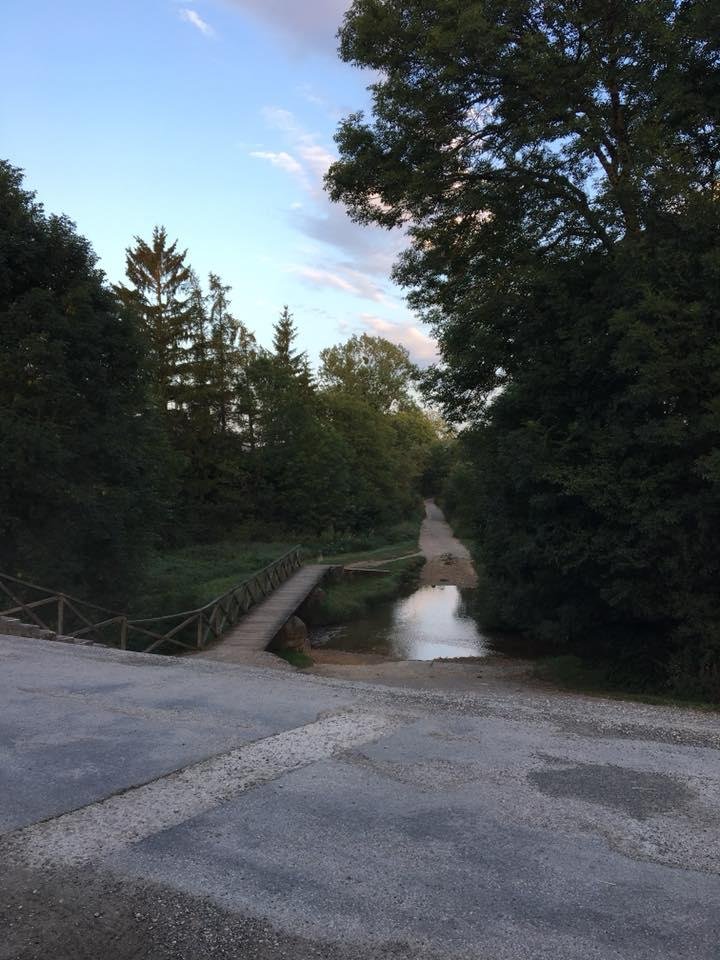 Bill Alter's album, Mobile Uploads
