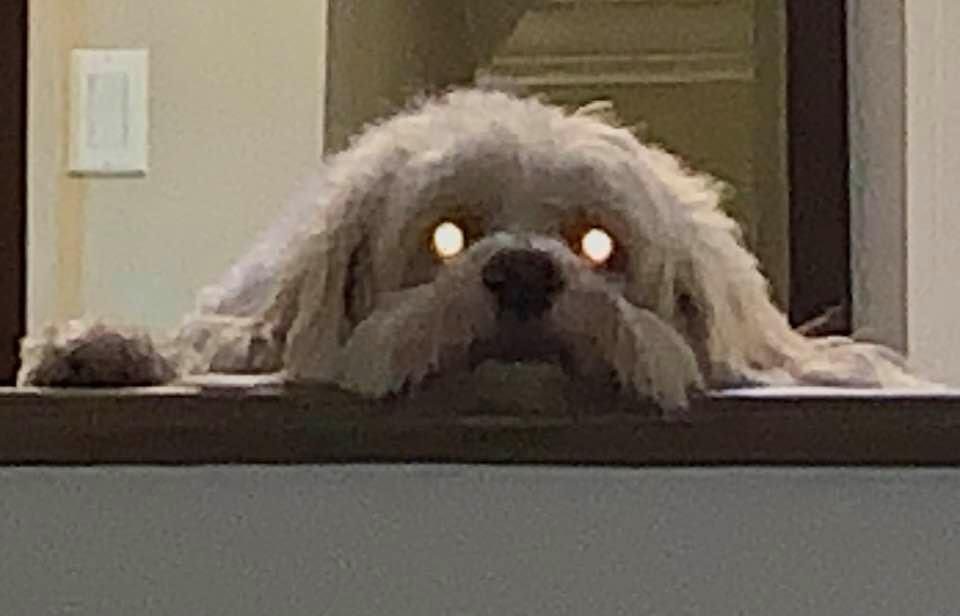 I think we need an exorcist.