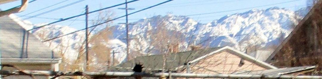 Spring 2019 in SLC -- a view of the mountains while sitting on my back porch...