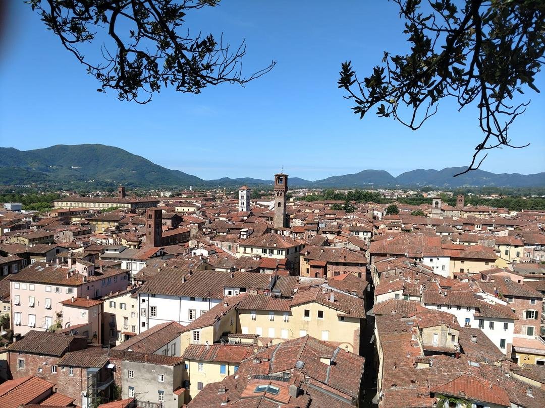 View from the top of Giunigi Tower overlooking Lucca, Italy!!