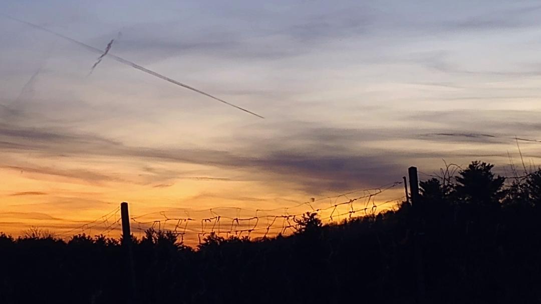 Thomas Small's album, Timeline photos