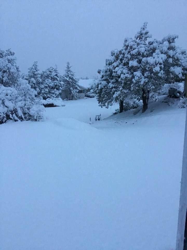 This is a picture of Robert’s driveway this morning. Like being back in New England!