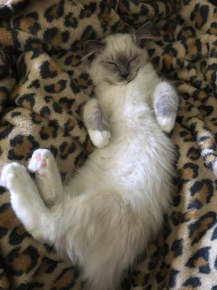 Nap time.