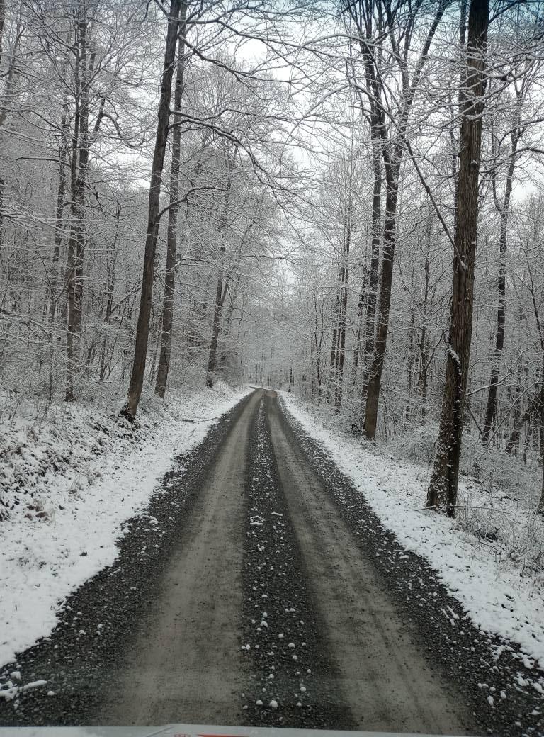 William Corley's album, Mobile uploads