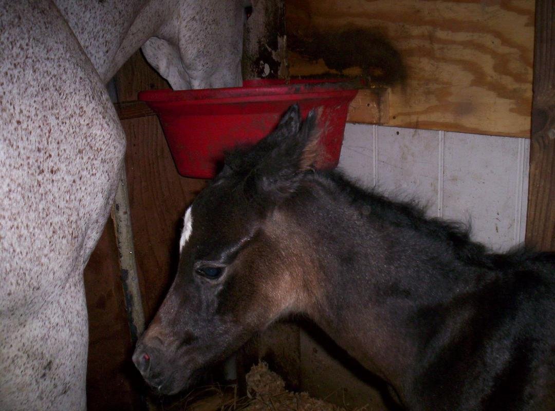 Hard to believe this little one was only 5 hous old