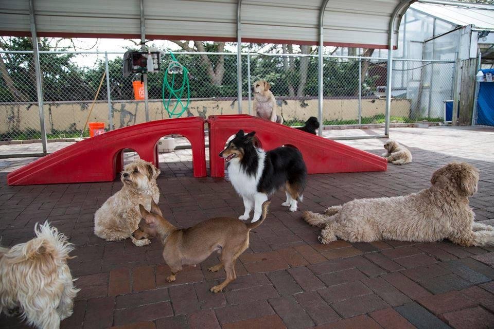 Mark Gross' album, Timeline Photos