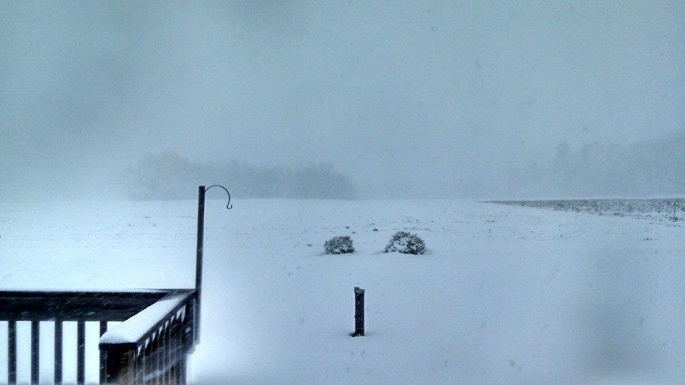 Yucky weather...