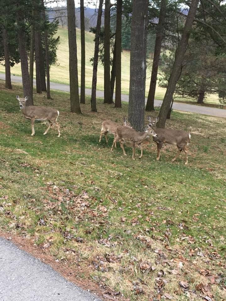 A walk in the Park.