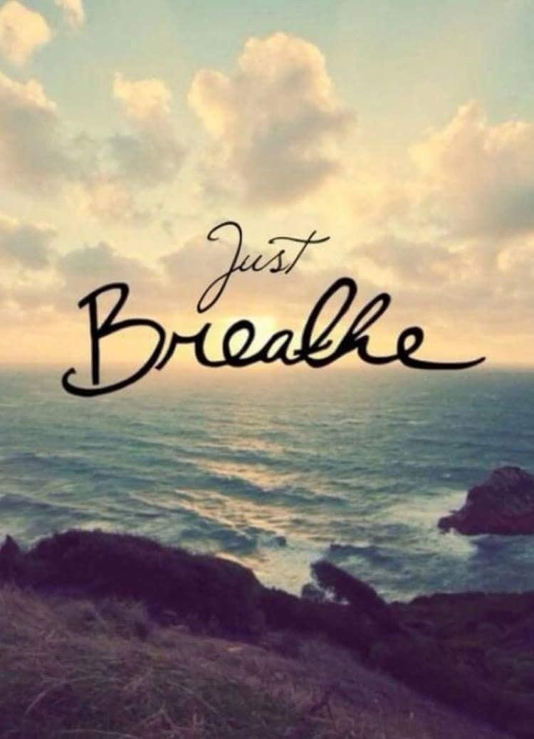 Good morning all!
Xoxo