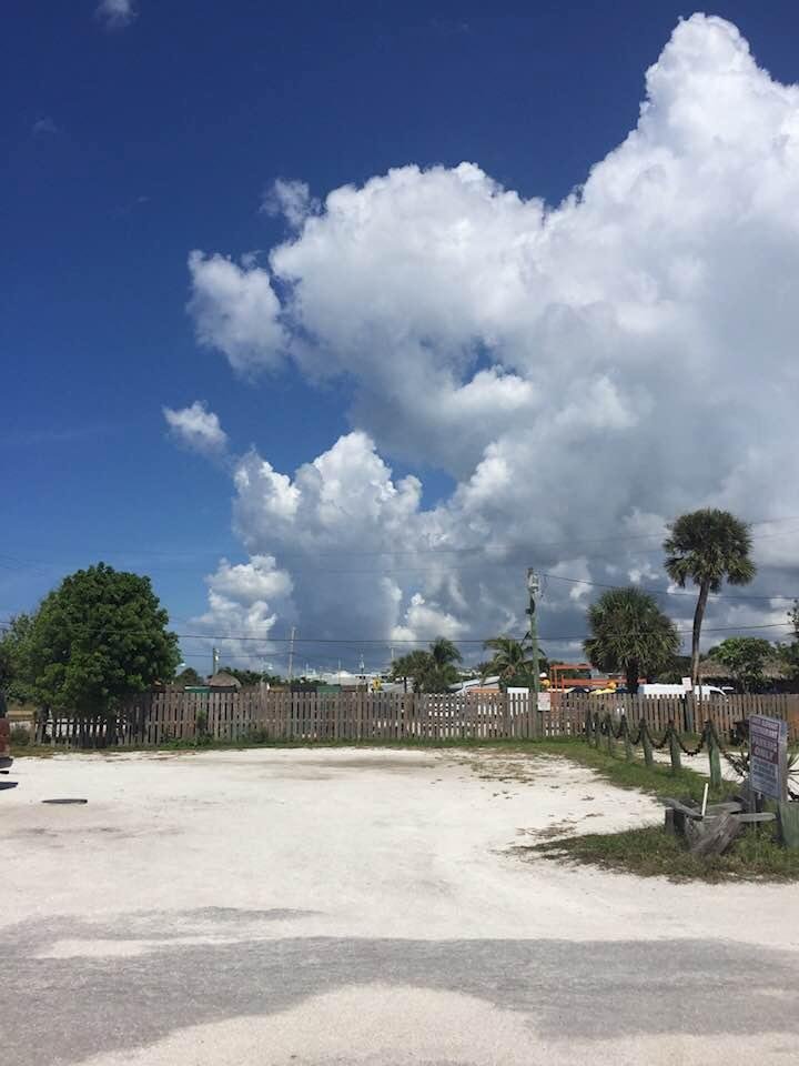 Beautiful day in Florida!