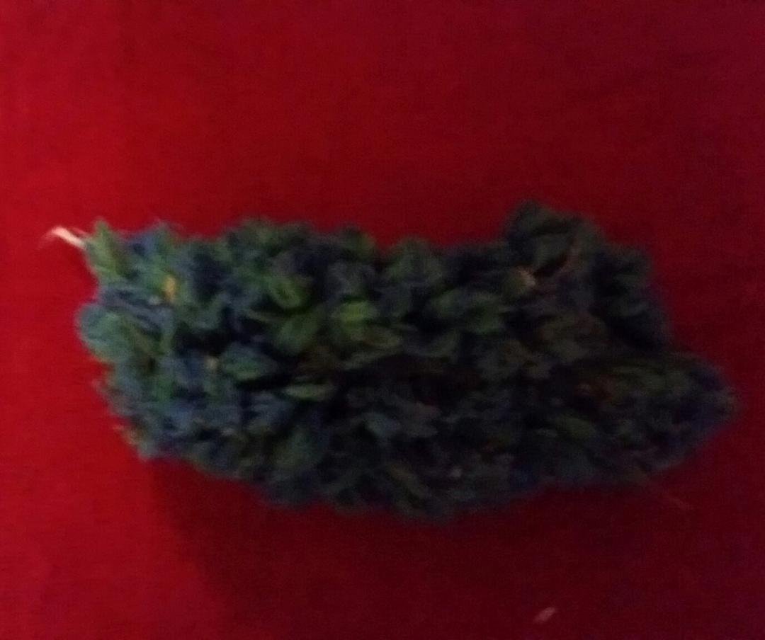 I think the evil dog fairy slipped in & whispered in my dogs ears. This is a duster my 4 yo dog tore up today. I was right here working at home. 4 yo-little too old for tearing up stuff.