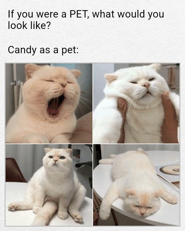 Candy Anderson's album, Timeline photos