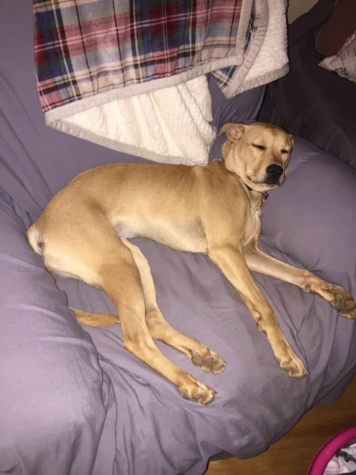 Do you think she’s comfy??