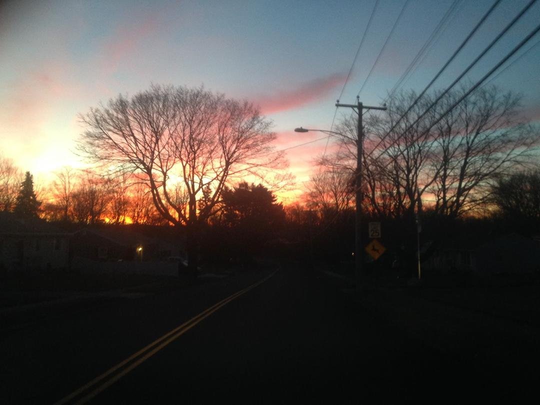Bea Volpe's album, Timeline Photos
