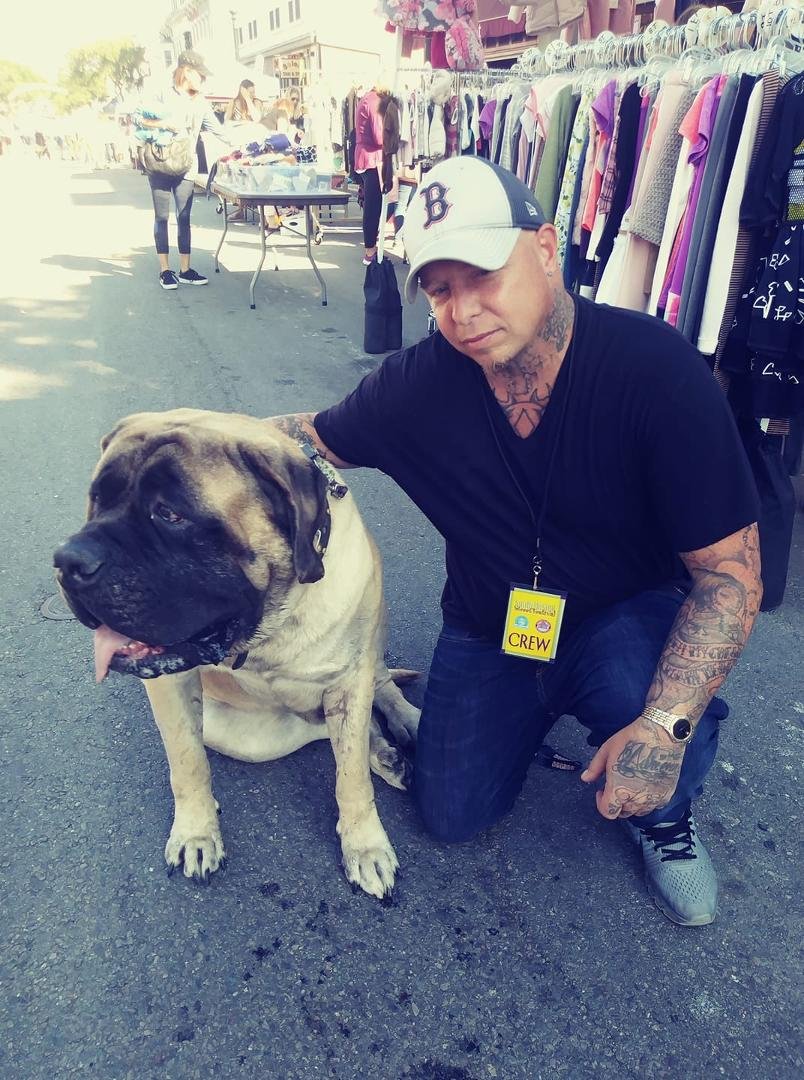Big Dogs Baby....