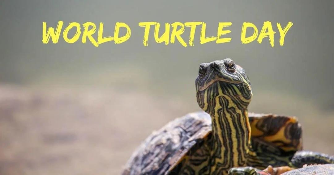 Take it slow and steady today. But it's ok to stick your neck out.