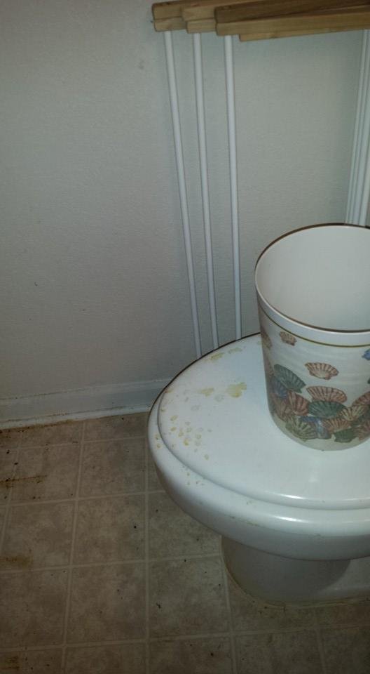 Outside of toilet....I didn't take inside because it is too disgusting.