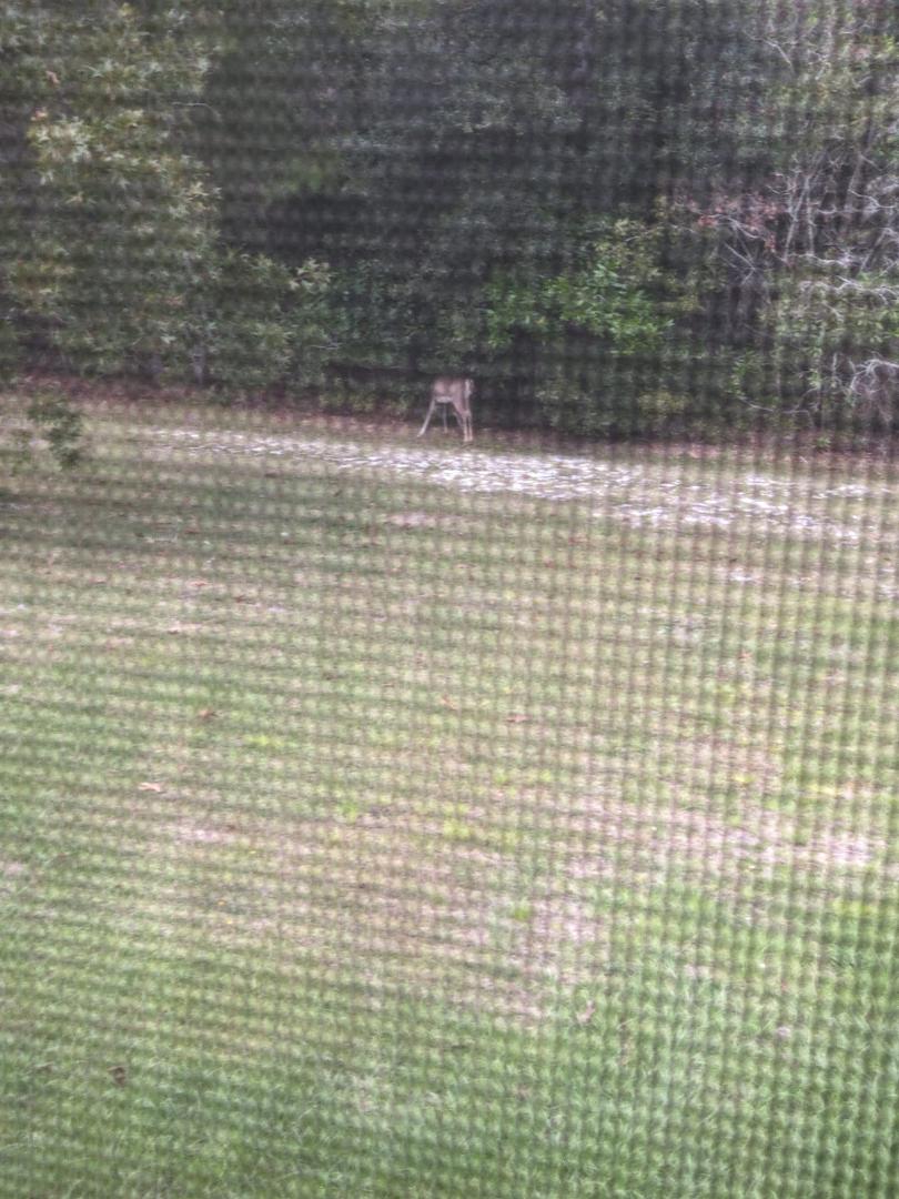 Visitor