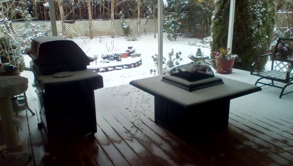 The snow even blew in on our deck.