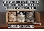 Beth Leggate's album, Timeline Photos