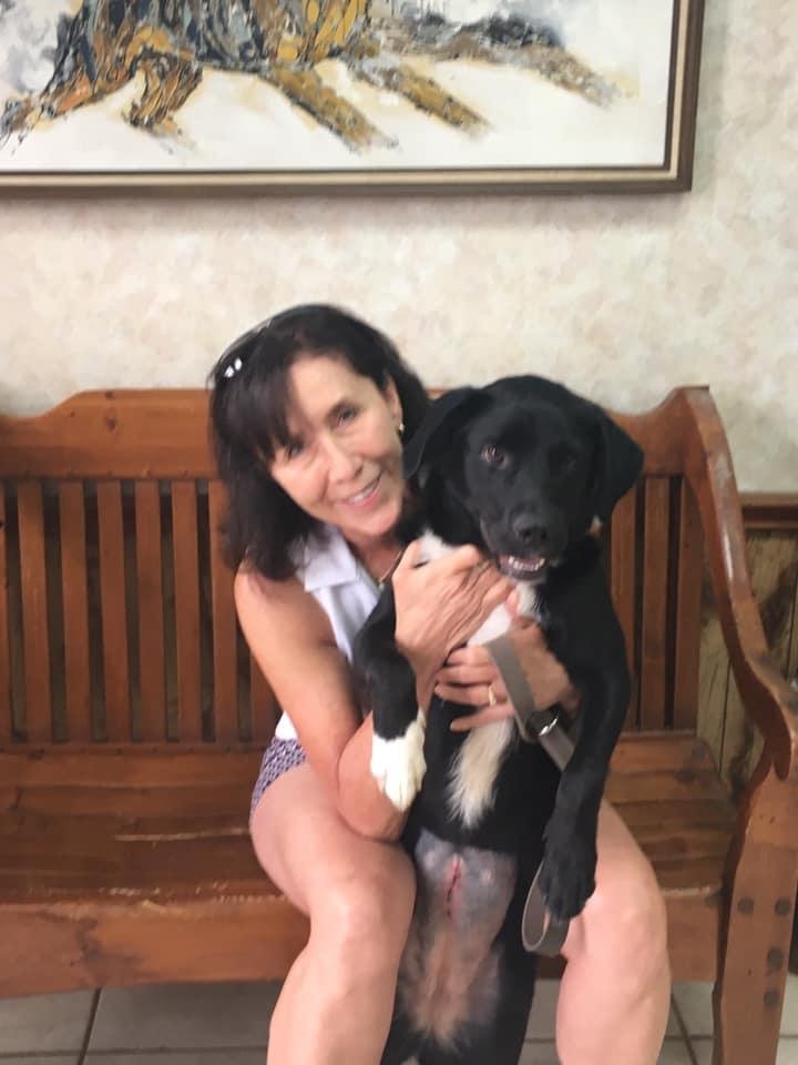 Today our Journey Begins❤️. This is Luna☺️