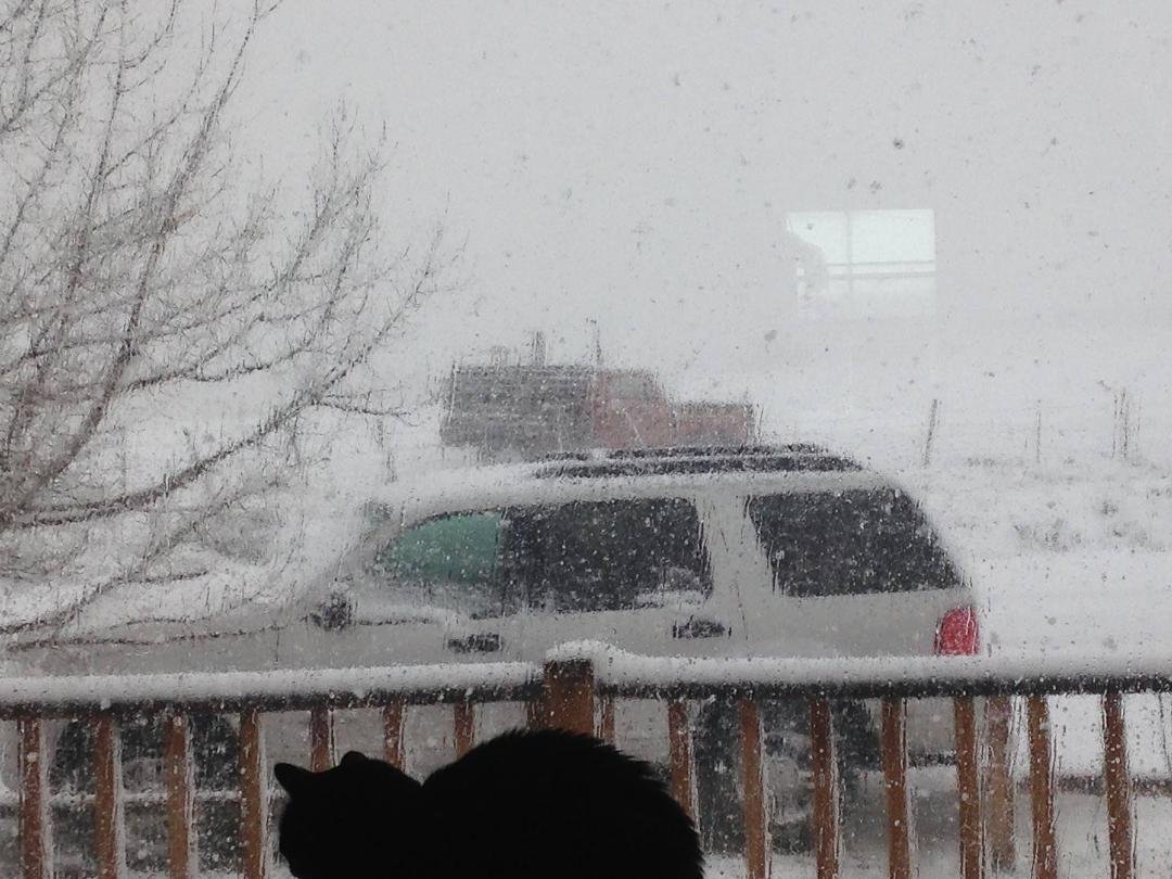 This morning in Kremmling, CO...