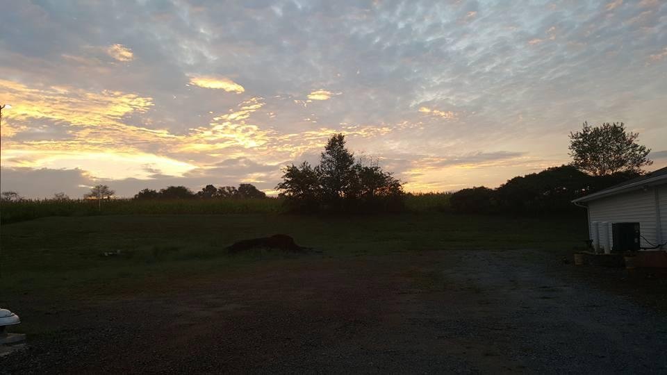 Good Morning from NC