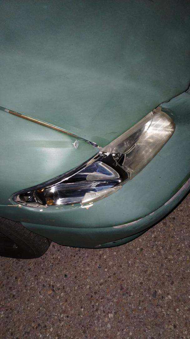 Hit a deer on the way to work today