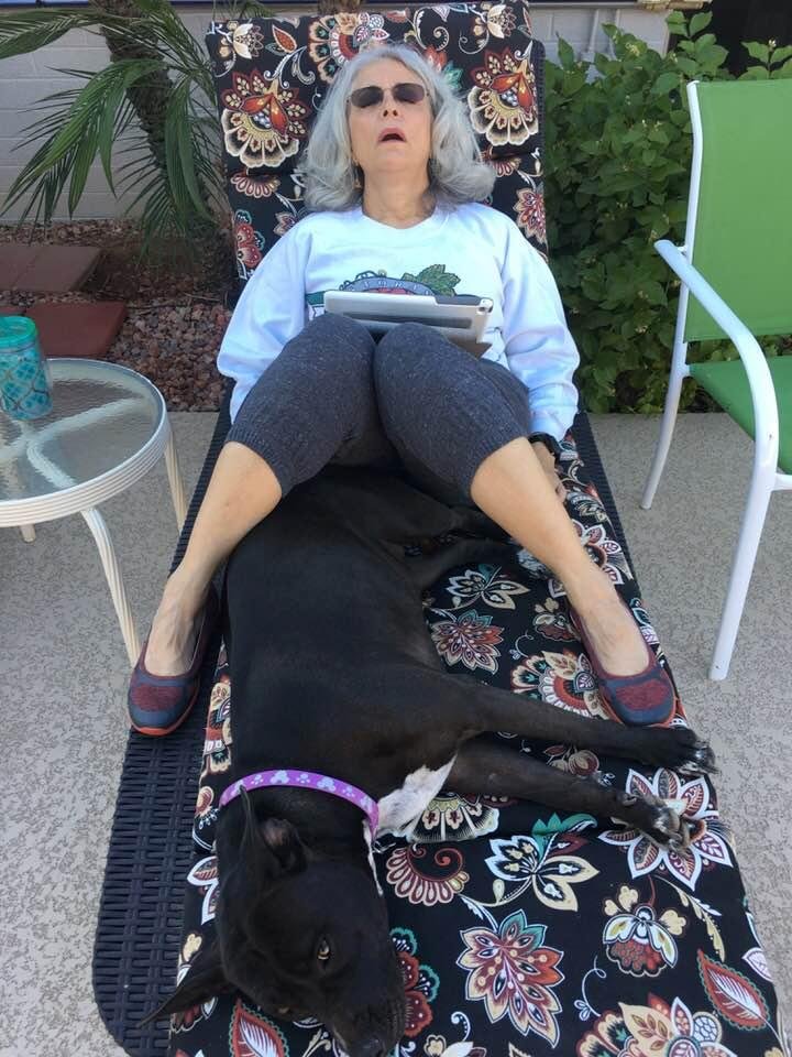 This called “Relaxing “ in the afternoon!