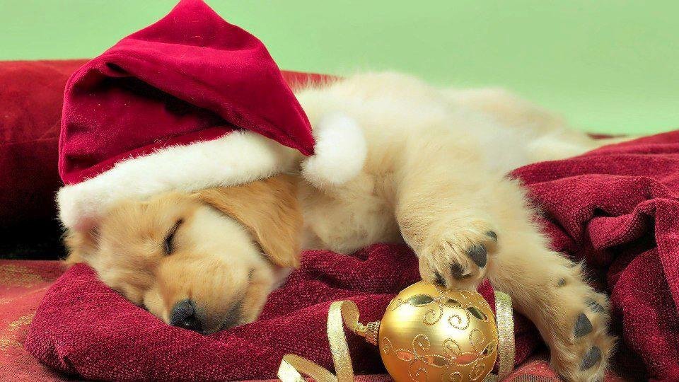 Good night and sweet dreams! ;)