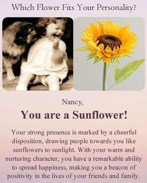 Nancy Kincl's album, Timeline photos