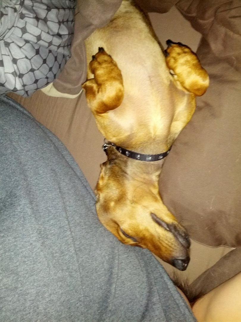 Thats my baby sleeping so well, that it keeps me up, cause he always needs to be up against me
