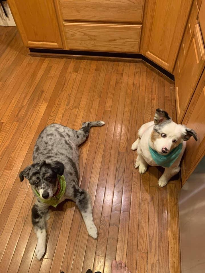 Is it time for our lunch now, daddy?