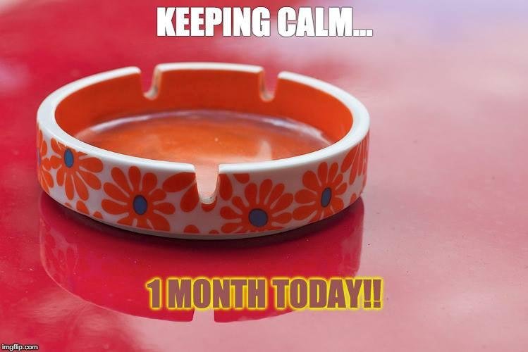 Jen Neely's album, Timeline Photos