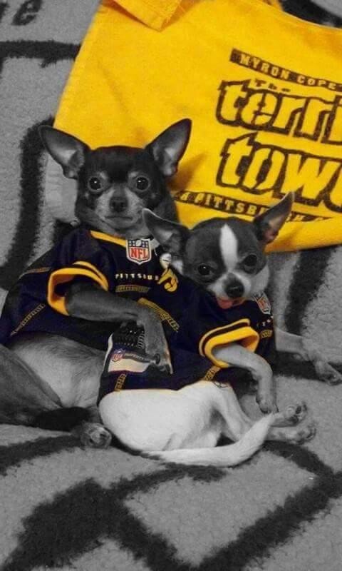 these 2 cuties look  like my 2 nieces, Abby and Mia