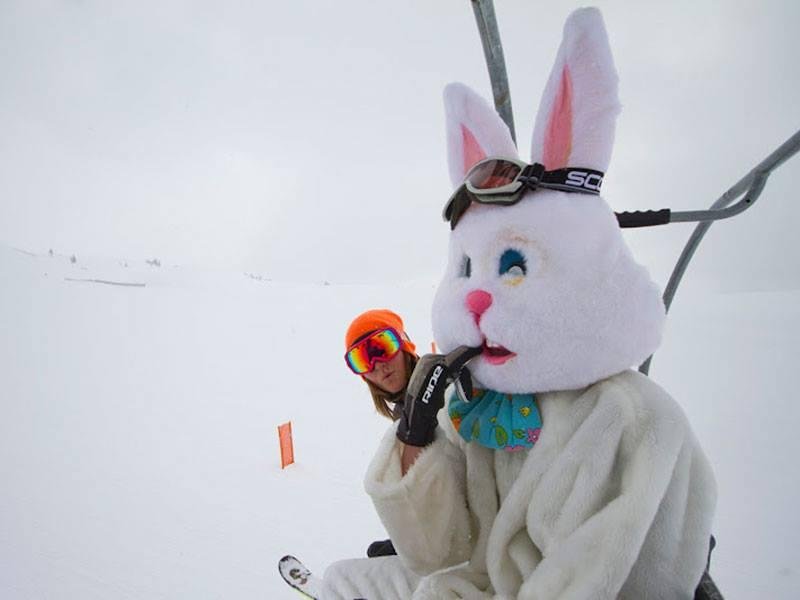 TOP OF THE NEWS:
Easter Bunny snowed in at conference with Santa Claus at the North Pole. Unless he can somehow be dug out in time for Easter Sunday morning, kids won't be seeing any Easter baskets this year. Parents all ov