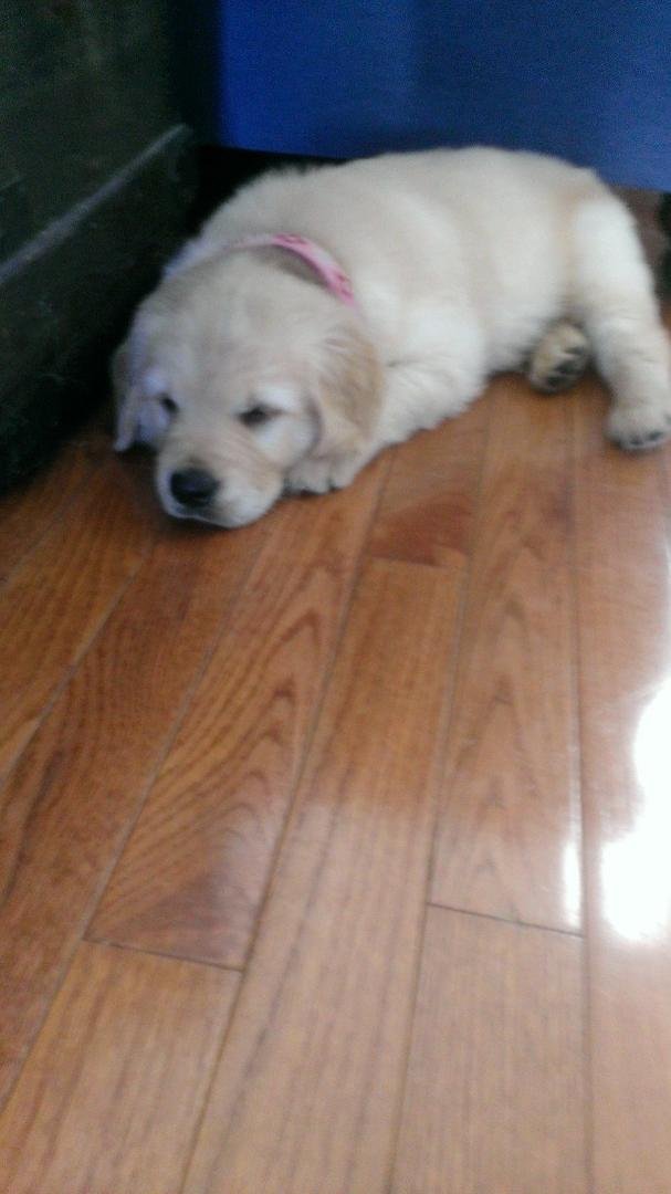 Everyone Brandy as baby 3 years ago .... FYI my phone is broken and I will not have new phone till Monday
John