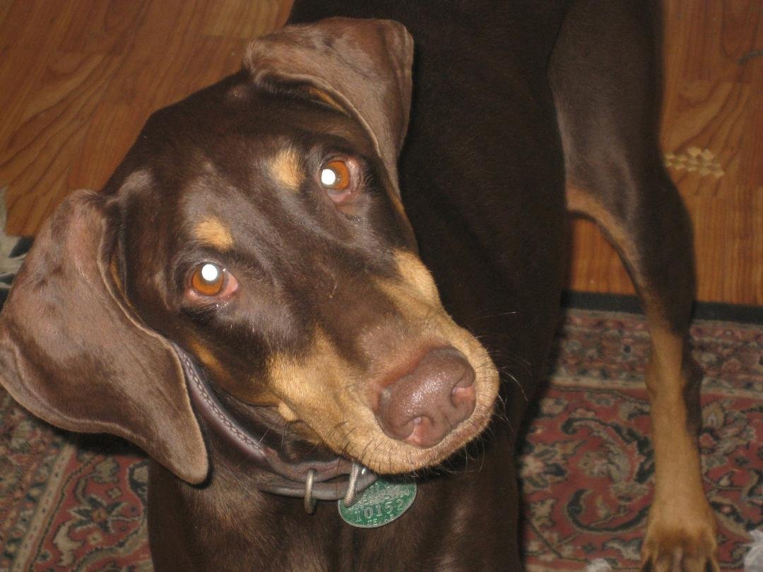 I can see your soul and it wants you to give me some of that ribeye.