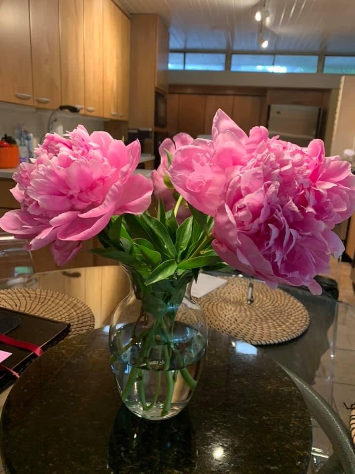 Beautiful Peonies!
