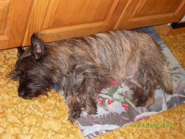 June 2009..I'm just exhausted!