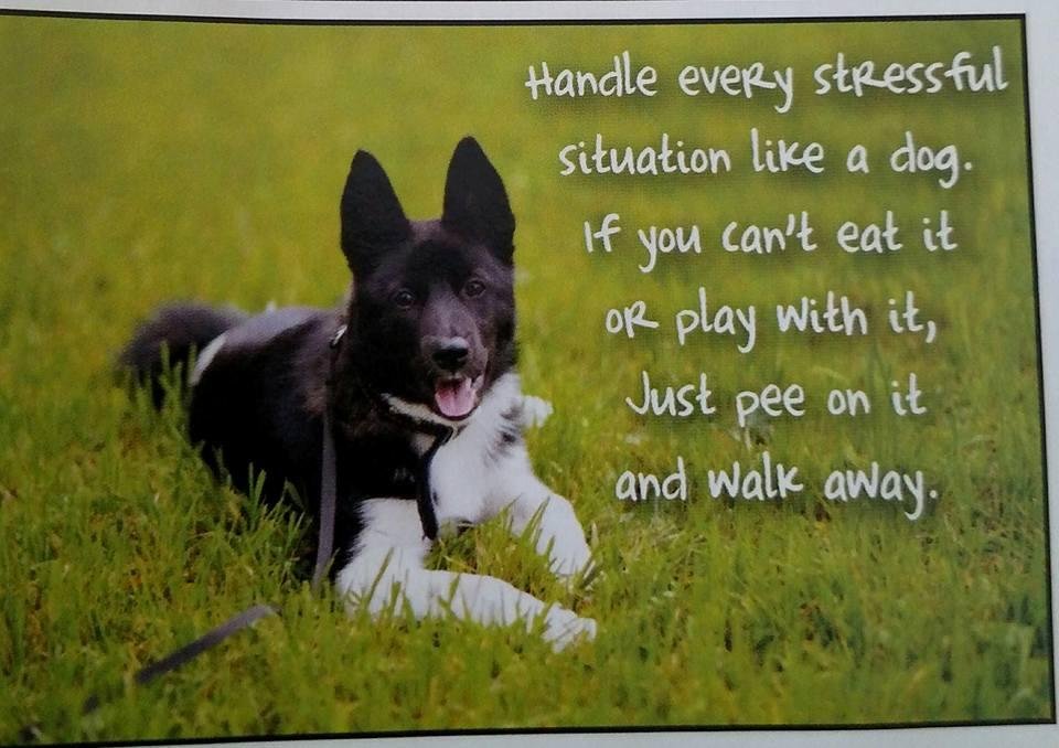 Had to share.