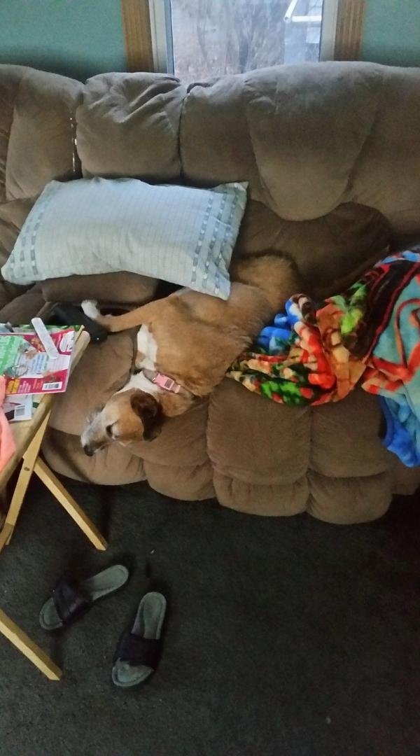 Now that is what you call relaxed.