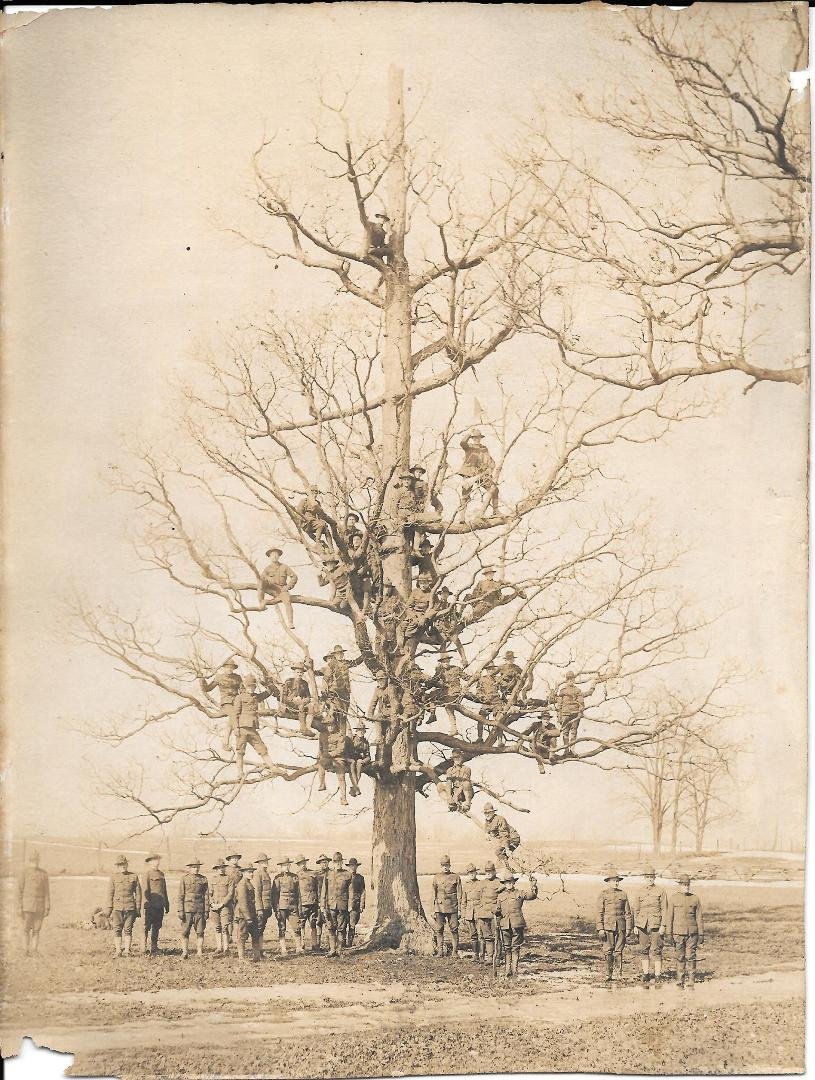 Somewhere in this picture is my Great Uncle George. This was his artillery company or whatever size group it is called. I think it was taken before they shipped out to fight in WWI, at least it doesn't look like any battlef
