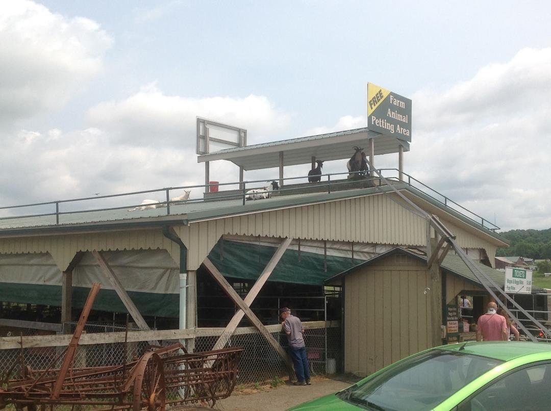 Amish country Ohio love it