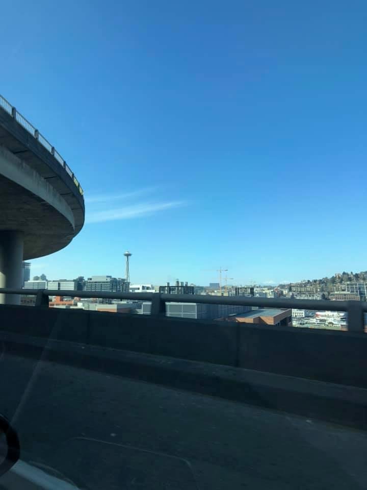 Deborah Clark O'Hara - Flickinger's album, Seattle 3/2020
