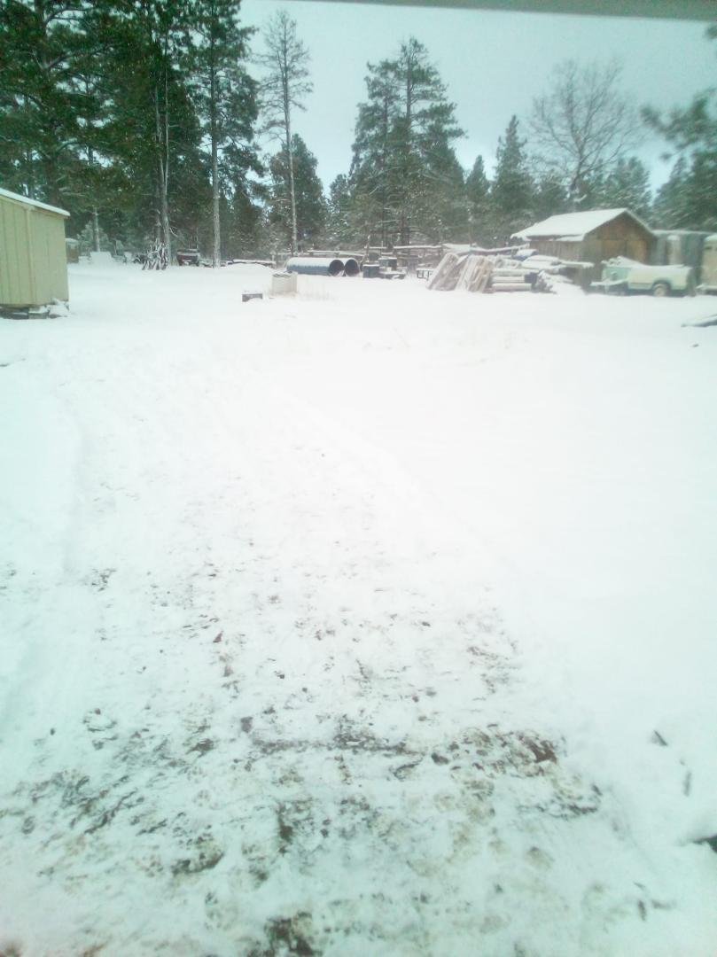 6"of snow in three hours today