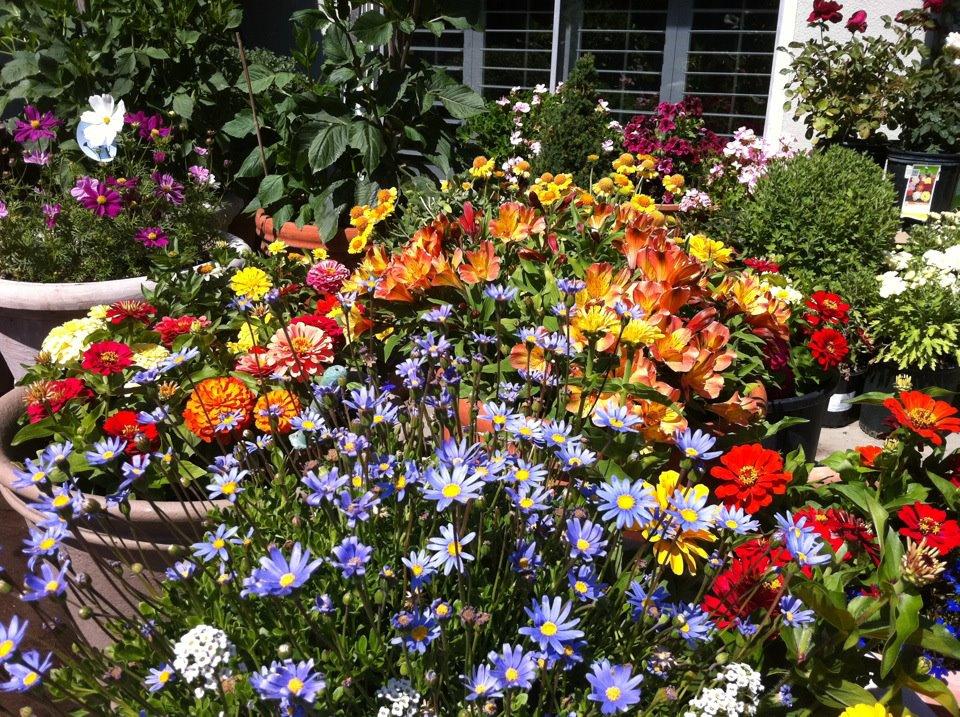 Patio pots