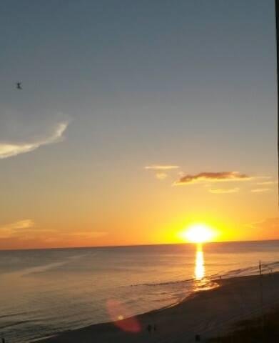 This is our view this evening.